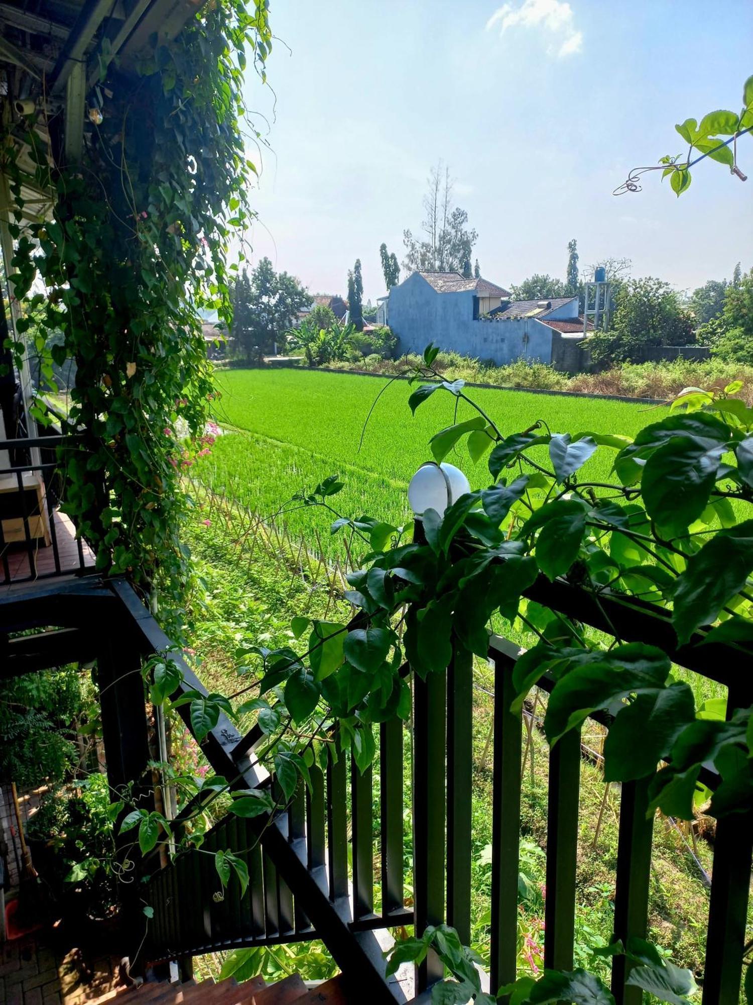 Hotel Omah Tjepit Buitenkant foto